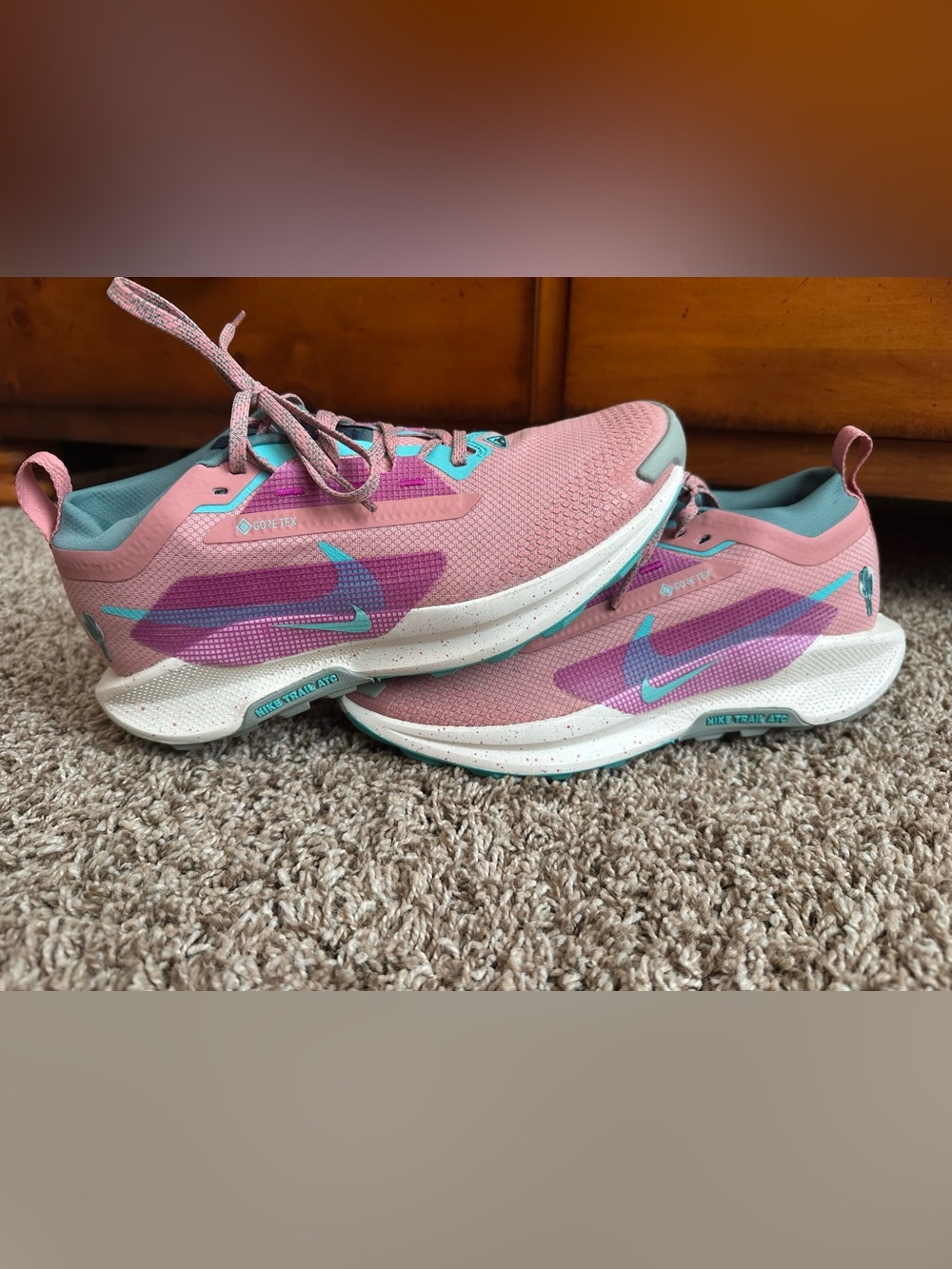 Nike Pegasus Trail 5 GTX Women’s Pink Teal Running Shoes